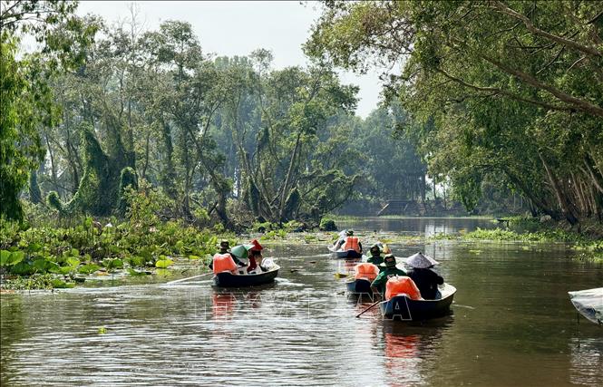 Du khách chèo thuyền tham quan rừng tràm Trà Sư. Ảnh: Thanh Sang - TTXVN