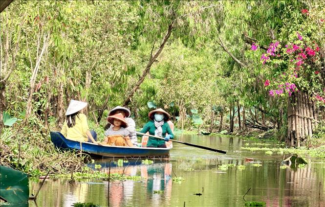 Du khách chèo thuyền tham quan rừng tràm Trà Sư. Ảnh: Thanh Sang - TTXVN