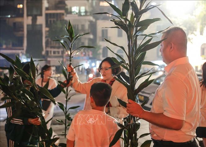 Người dân chọn mua cành lộc để mang về nhà với mong ước tài lộc, bình an sẽ đến. Ảnh: Hoàng Hiếu - TTXVN