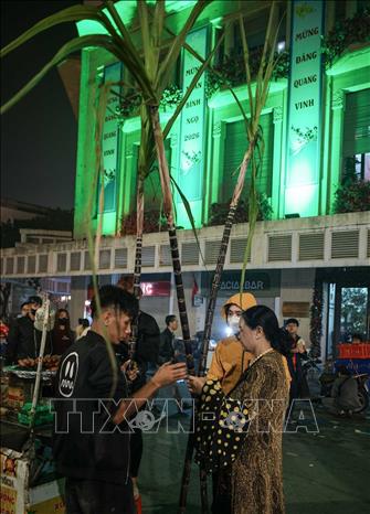 Người dân chọn mua cây lấy lộc đầu năm. Ảnh: Hoàng Hiếu - TTXVN