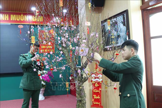 Cán bộ, chiến sĩ Đồn Biên phòng Cửa khẩu quốc tế Hữu Nghị (Lạng Sơn) chăm sóc, trang trí cây đào Tết tại đơn vị. Ảnh: Quang Duy – TTXVN