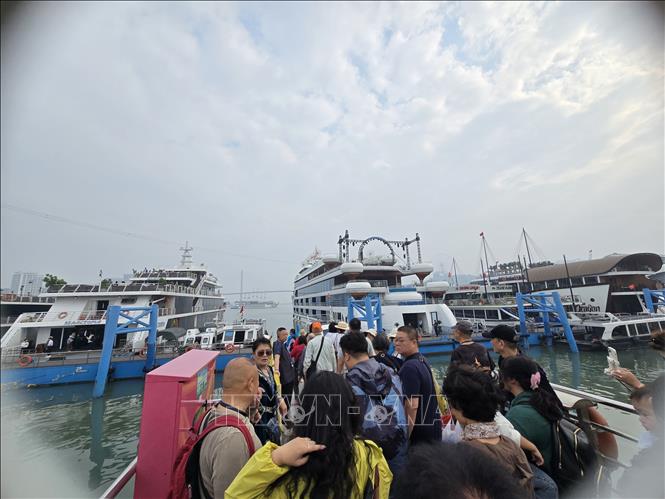 Đông đảo du khách xếp hàng xuống tàu, du thuyền đi tham quan vịnh Hạ Long. Ảnh: Thanh Vân-TTXVN 
