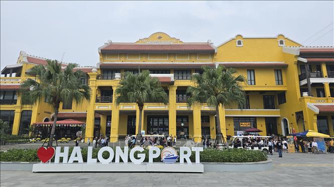 Ngay trong ngày mùng 1, Cảng tàu khách quốc tế Hạ Long đón trên 8000 lượt du khách tham quan vịnh Hạ Long. Ảnh: Thanh Vân-TTXVN 