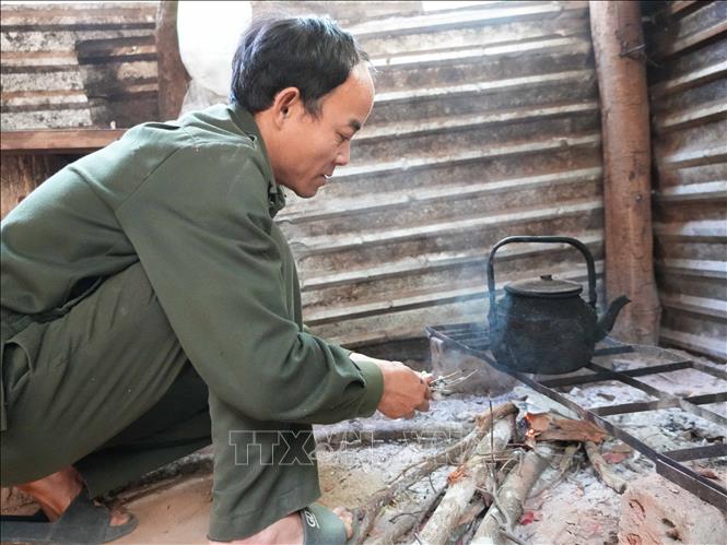 Ông A Thoa, cán bộ bảo vệ rừng xa gia đình, trực giữ rừng trắc xuyên Tết. Ảnh: Dư Toán - TTXVN