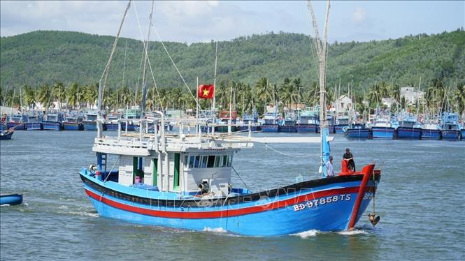 Ngư dân vươn khơi xuyên Tết tại cửa biển Tam Quan. Ảnh: Sỹ Thắng - TTXVN