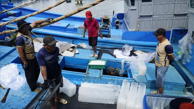 Ngư dân chuẩn bị đá lạnh cho chuyến đi biển đầu Xuân. Ảnh: Sỹ Thắng - TTXVN
