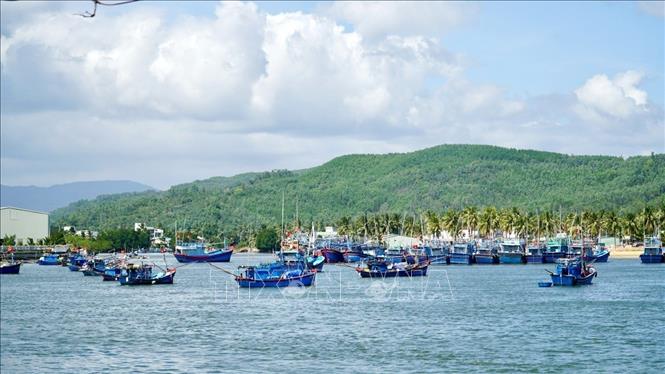 Ngư dân vươn khơi xuyên Tết tại cửa biển Tam Quan. Ảnh: Sỹ Thắng - TTXVN