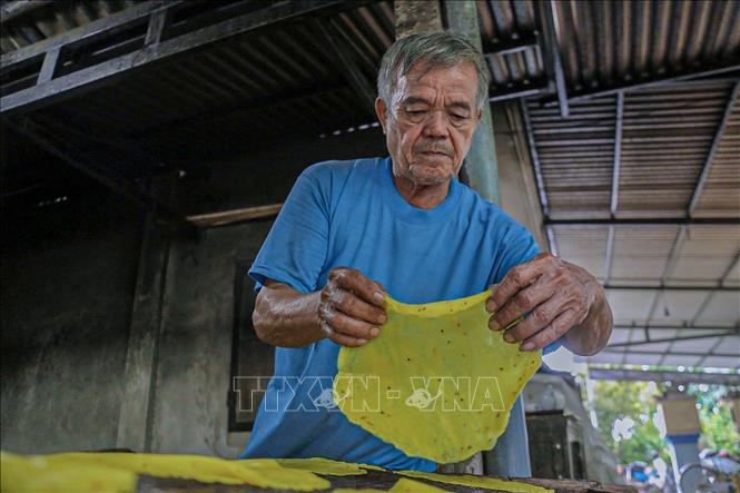 Nghệ nhân cần mẫn làm từng chiếc bánh tráng truyền thống. Ảnh: Văn Dũng-TTXVN