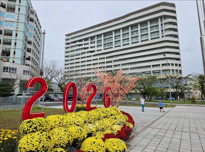 Bệnh viện Phụ sản Nhi - Đà Nẵng được trang hoàng các tiểu cảnh tết để người bệnh ở lại điều trị vui đón Tết Nguyên đán Bính Ngọ 2026. Ảnh: Trần Lê Lâm - TTXVN 