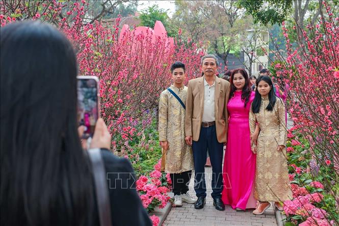 Khu vực đào thắm nở rực rỡ quanh Hồ Gươm thu hút nhiều người dân đến 