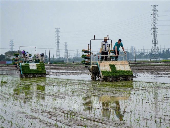 Hợp tác xã Dịch vụ nông nghiệp và Kinh doanh tổng hợp Liên Hà (xã Thư Lâm) đẩy mạnh đưa cơ giới hóa vào sản xuất nông nghiệp. Ảnh: TTXVN phát