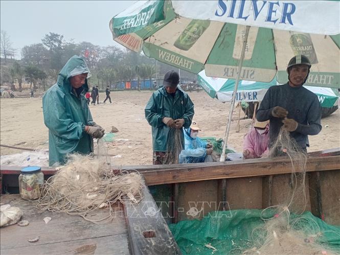 Người dân phường Sầm Sơn, Thanh Hóa lấy cá từ lưới vừa đánh bắt trên biển. Ảnh: Nguyễn Nam-TTXVN