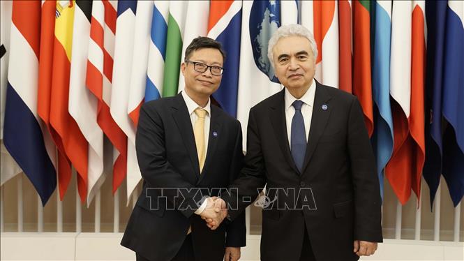 Đại sứ đặc mệnh toàn quyền Việt Nam tại Pháp Trịnh Đức Hải và Giám đốc Điều hành IEA, Fatih Birol. Ảnh: TTXVN phát 