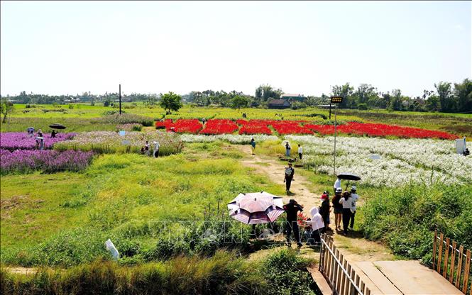  Vườn hoa An Phú Sinh, xã An Phú thu hút đông đảo người dân và du khách đến check-in, chụp ảnh lưu niệm. Ảnh: Lê Phước Ngọc-TTXVN