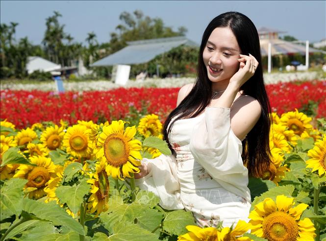 Vườn hoa An Phú Sinh, xã An Phú thu hút đông đảo người dân và du khách đến check-in, chụp ảnh lưu niệm. Ảnh: Lê Phước Ngọc-TTXVN