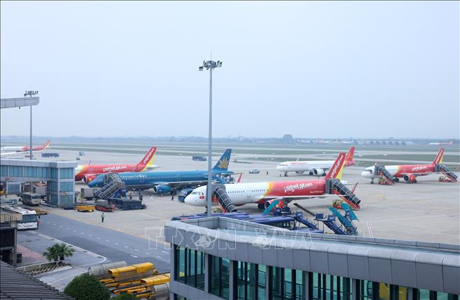 Những ngày này, tàu bay của các hãng hàng không như Vietnam Airlines, Vietjet Air, Sun PhuQuoc Airway hoạt động hết công suất. Ảnh: Quốc Khánh-TTXVN