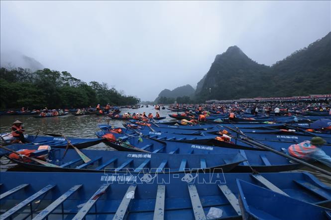 Hàng vạn chiếc đò phục vụ du khách. Ảnh: Trần Việt - TTXVN 