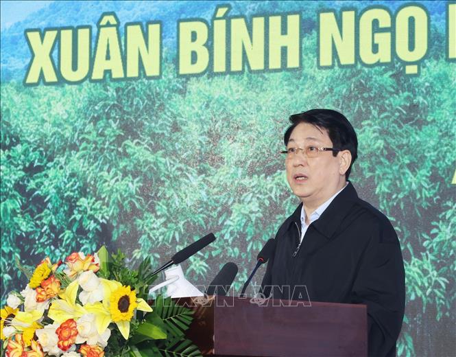 Chủ tịch nước Lương Cường phát biểu tại Lễ phát động “Tết trồng cây đời đời nhớ ơn Bác Hồ” năm 2026. Ảnh: Lâm Khánh – TTXVN