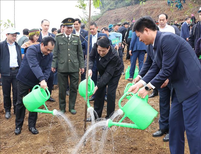 Chủ tịch nước Lương Cường và các đại biểu trồng cây tại phường Lào Cai, tỉnh Lào Cai. Ảnh: Lâm Khánh – TTXVN