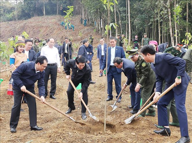 Chủ tịch nước Lương Cường và các đại biểu trồng cây tại phường Lào Cai, tỉnh Lào Cai. Ảnh: Lâm Khánh – TTXVN