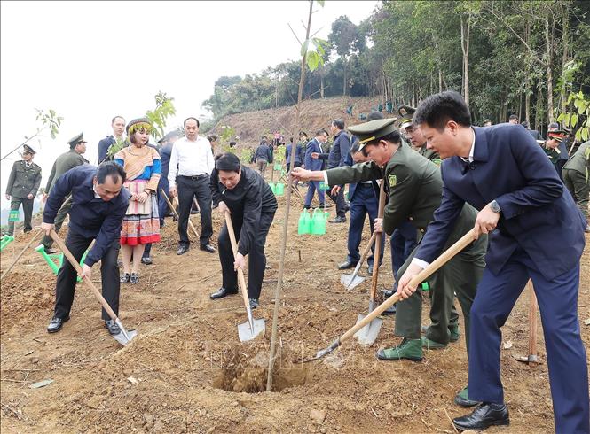 Chủ tịch nước Lương Cường và các đại biểu trồng cây tại phường Lào Cai, tỉnh Lào Cai. Ảnh: Lâm Khánh – TTXVN