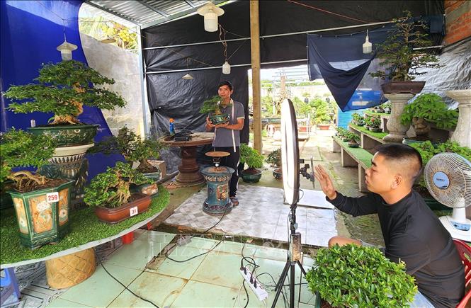 Anh Lê Đình Thanh Long cùng các cộng sự livestream để giới thiệu và bán các sản phẩm bonsa bonsai. Ảnh: Lê Thúy Hằng – TTXVN.