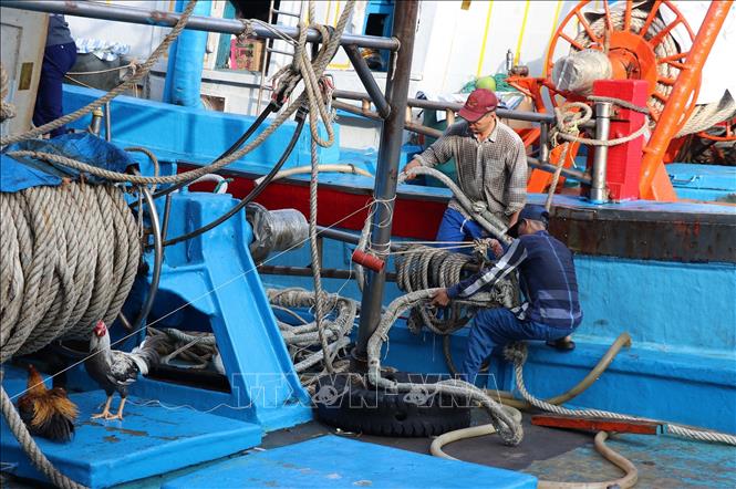 Ngư dân kiểm tra hệ thống dây neo trên tàu trước khi ra khơi. Ảnh: Hữu Chí - TTXVN