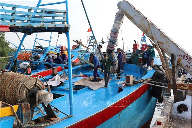 Tàu cá trữ đá vào kho lạnh để bảo quản hải sản trong quá trình đánh bắt trên biển. Ảnh: Hữu Chí - TTXVN