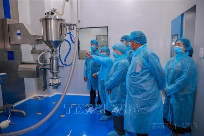 Công ty Cổ phần Dược - Trang thiết bị Y tế Bình Định (Bidiphar) đưa vào sử dụng Nhà máy sản xuất thuốc điều trị ung thư và khởi công xây dựng Nhà máy sản xuất thuốc vô trùng thể tích nhỏ theo tiêu chuẩn GMP-EU, tháng 12/2023. Ảnh: Sỹ Thắng - TTXVN