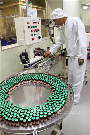 Việt Nam là quốc gia đang dần vươn lên vị trí quan trọng trong danh sách các nước sản xuất vắc-xin trên thế giới. Trong ảnh: Vắc-xin phối hợp Sởi - Rubella do Việt Nam sản xuất đã được thử nghiệm lâm sàng và được đánh giá là an toàn, hiệu quả cho người sử dụng trong Chương trình tiêm chủng mở rộng, phục vụ tiêm miễn phí cho trẻ em từ năm 2017. Ảnh: Dương Ngọc - TTXVN