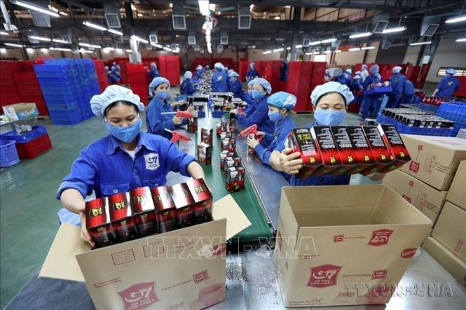 Cà phê là một trong các mặt hàng xuất khẩu chủ lực của Việt Nam sang Nga. Ảnh: Danh Lam - TTXVN