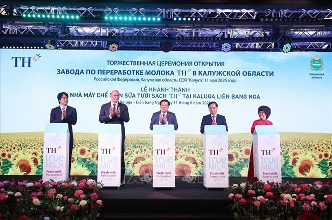 Các đại biểu thực hiện nghi thức khánh thành Nhà máy chế biến sữa tươi sạch TH của Tập đoàn TH tại tỉnh Kaluga, Liên bang Nga ([11/05/2025). Ảnh: Thống Nhất – TTXVN