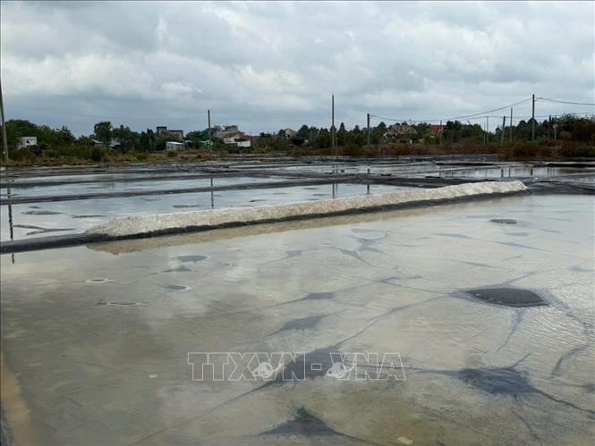 Ruộng muối tại cánh đồng muối phường Bà Rịa ngập trong nước mưa. Ảnh: Hoàng Nhị - TTXVN