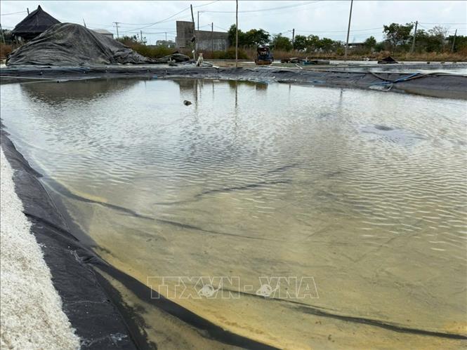 Ruộng muối trải bạt tại xã Long Điền (Thành phố Hồ Chí Minh) ngập trong nước mưa khiến muối tan thành nước. Ảnh: Hoàng Nhị - TTXVN