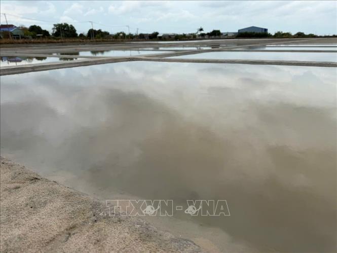 Những ruộng muối đất tại xã Long Điền, Thành phố Hồ Chí Minh bị ngập chìm trong nước mưa khiến muối sắp đến lứa thu hoạch bị tan thành nước. Ảnh: Hoàng Nhị - TTXVN