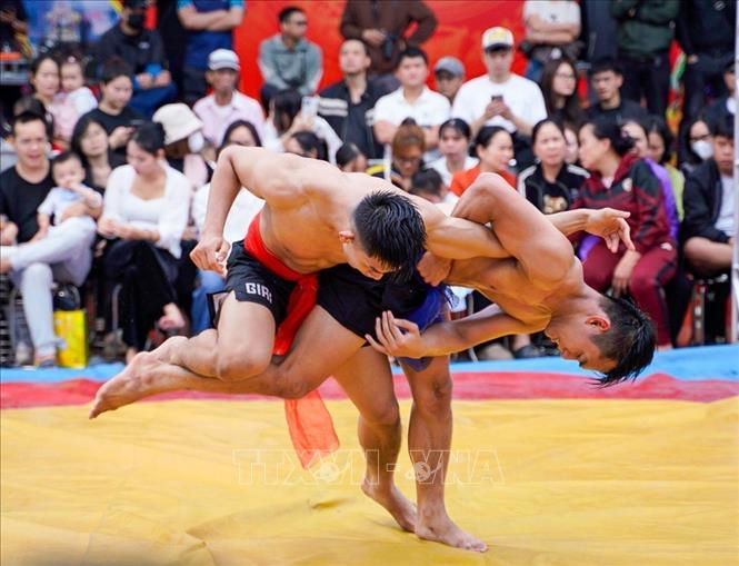 Giải vật truyền thống thu hút sự tham gia của các đô vật và người dân. Ảnh: Khánh Hoà - TTXVN