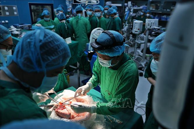 Ê kíp tiến hành kiểm tra, rửa phổi và ghép cho bệnh nhân. Ảnh: Minh Quyết - TTXVN
