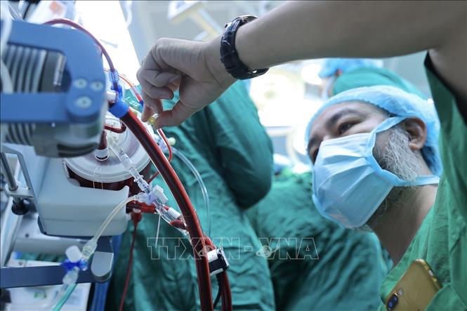 Ê kíp tiến hành đặt ECMO (hệ thống tim phổi nhân tạo), là kỹ thuật hỗ trợ tạm thời chức năng tim và phổi cho bệnh bằng cách rút máu ra ngoài, qua màng lọc cung cấp oxy và loại bỏ CO2, rồi bơm máu trở lại cơ thể. Ảnh: Minh Quyết - TTXVN