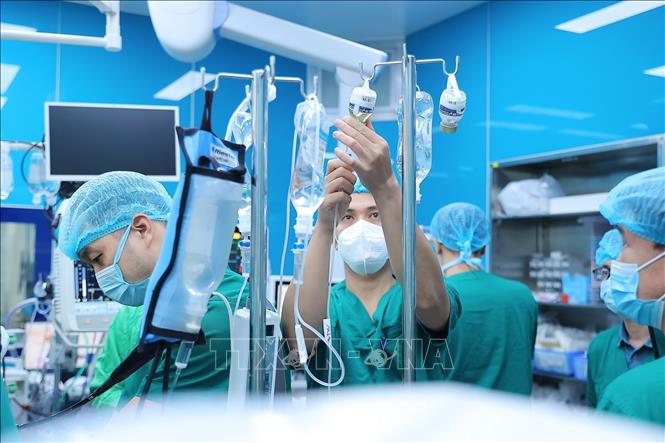 Ghép phổi là quy trình kỹ thuật cao, yêu cầu sự phối hợp chặt chẽ, chính xác gần như tuyệt đối giữa nhiều chuyên khoa: phẫu thuật, gây mê, hồi sức, nội hô hấp, dinh dưỡng, kiểm soát nhiễm khuẩn…Ảnh: Minh Quyết - TTXVN