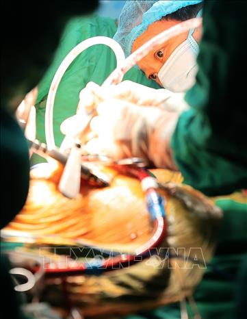 Thầy thuốc Ưu tú, TS.BSCC Đinh Văn Lượng, Bí thư Đảng uỷ, Giám đốc Bệnh viện Phổi Trung ương trực tiếp tham gia ghép phổi cho bệnh nhân. Ảnh: Minh Quyết - TTXVN
