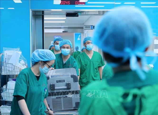 Ngay lập tức phổi được chuyển tới phòng ghép cho bệnh nhân. Ảnh: Minh Quyết - TTXVN