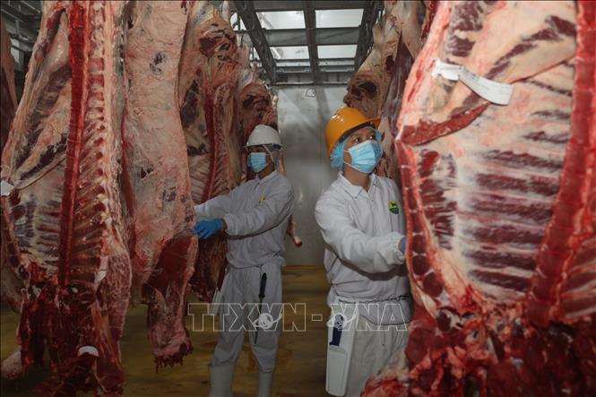 Công nhân tại Công ty TNHH Pacow International (phường Gia Lộc, tỉnh Tây Ninh) đã trở lại làm việc bình thường sau kỳ nghỉ Tết nhằm cung ứng thực phẩm cho thị trường. Ảnh: Thanh Tân - TTXVN