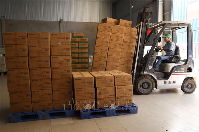 Công nhân tại Công ty TNHH Tân Nhiên (phường Long Hoa, tỉnh Tây Ninh) trở lại làm việc đầy đủ sau kỳ nghỉ Tết. Ảnh: Thanh Tân - TTXVN