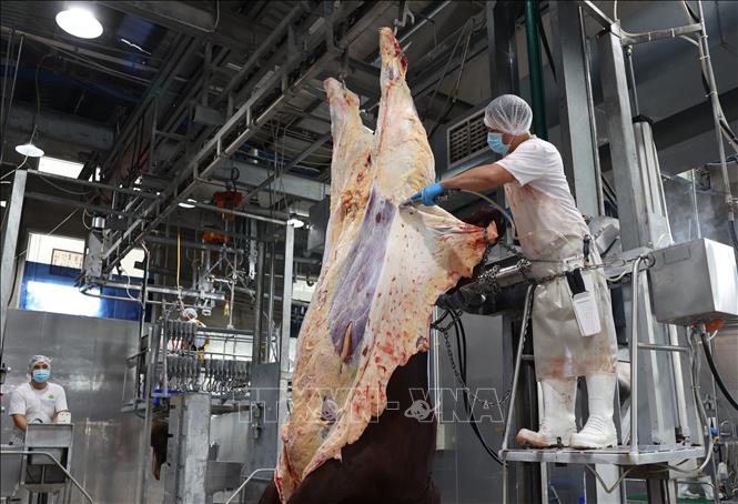  Công nhân tại Công ty TNHH Pacow International (phường Gia Lộc, tỉnh Tây Ninh) đã trở lại làm việc bình thường sau kỳ nghỉ Tết nhằm cung ứng thực phẩm cho thị trường. Ảnh: Thanh Tân - TTXVN