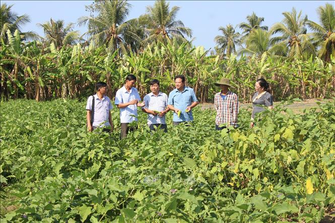 Lãnh đạo địa phương đến tham quan mô hình trồng màu của người dân. Ảnh: Chanh Đa-TTXVN