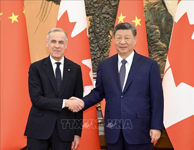 Thủ tướng Canada Mark Carney (trái) và Chủ tịch Trung Quốc Tập Cận Bình tại cuộc gặp ở Bắc Kinh ngày 16/1/2026. Ảnh: THX/TTXVN