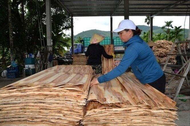 Huyện Mộ Đức, quê hương của Đồng chí Phạm Văn Đồng ngày càng đổi mới hiện đại hóa nông nghiệp, tiên phong chuyển đổi số và tinh gọn bộ máy hành chính, khẳng định vị thế nông thôn mới kiểu mẫu, đưa Quảng Ngãi vững bước trong kỷ nguyên mới. Ảnh: Đinh Hương - TTXVN