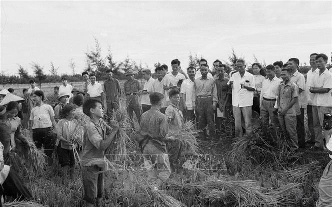 Thủ tướng Phạm Văn Đồng thăm đồng ruộng của nông dân huyện Đan Phượng, tỉnh Hà Tây, tháng 7/1971. Ảnh: Văn Lượng -TTXVN
