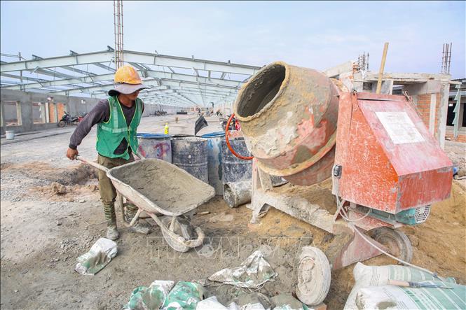 Các chính sách hỗ trợ được triển khai đồng bộ giúp thanh niên dân tộc thiểu số ổn định đời sống, yên tâm lao động, học nghề và khởi nghiệp ngay tại địa phương. Ảnh: Giang Phương – TTXVN