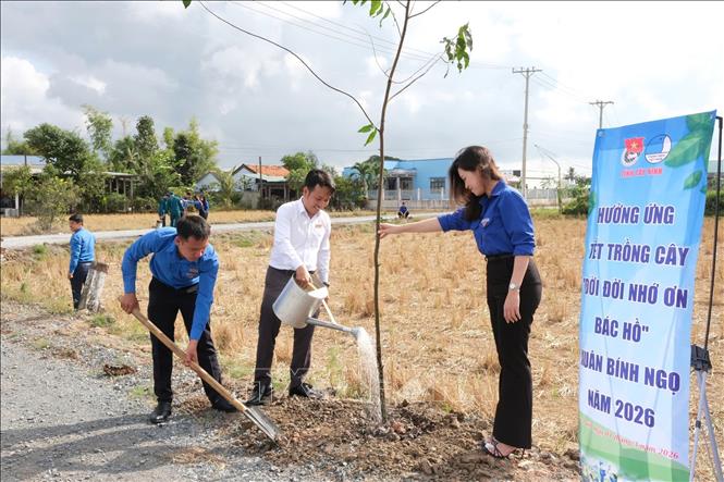 Đoàn viên thanh niên trồng cây trong Tháng Thanh niên. Ảnh: Đức Hạnh - TTXVN